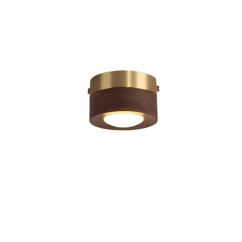 Modern Walnut Wood LED Ceiling Light 9
