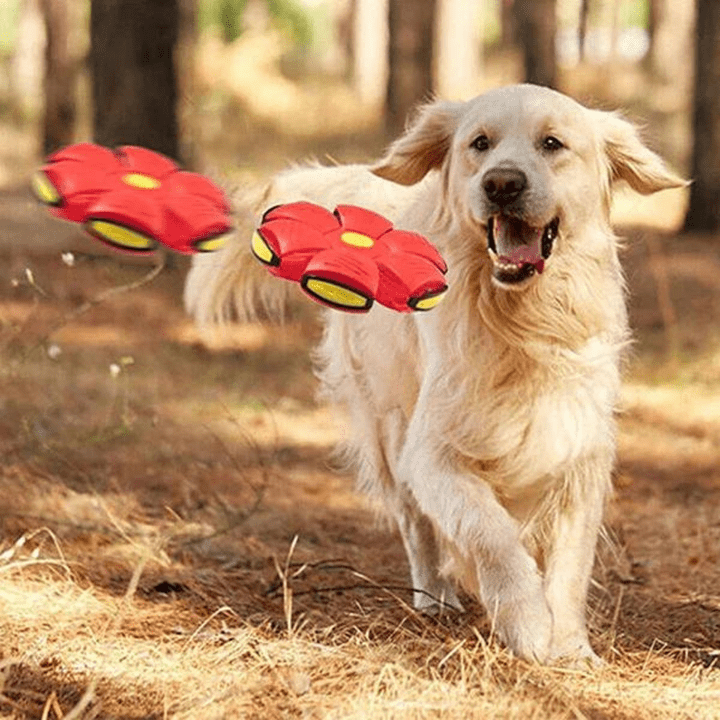 PawVibe - Interactive Flying Dog Toy 2-in-1 Design 1