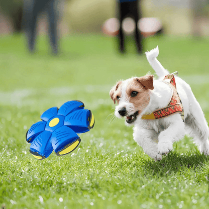 PawVibe - Interactive Flying Dog Toy 2-in-1 Design 3