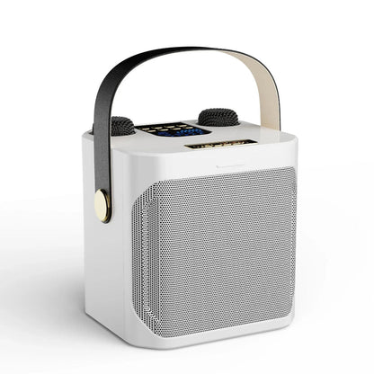 SoundPulse - Portable Karaoke Speaker with Dual Wireless Mics 3